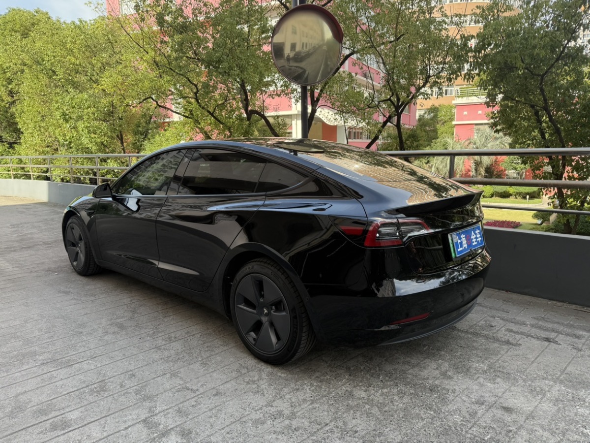 特斯拉 Model 3  2019款 標(biāo)準(zhǔn)續(xù)航后驅(qū)升級版圖片