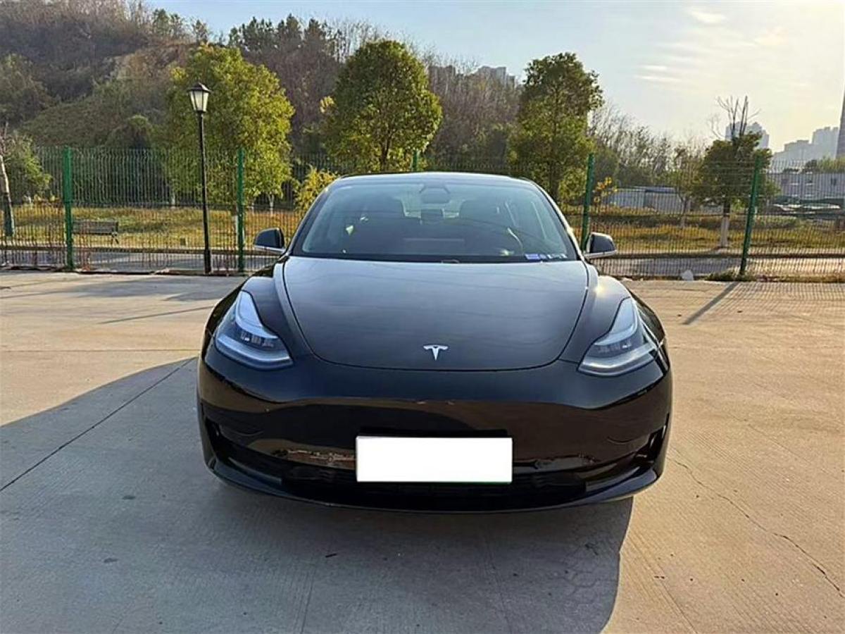 特斯拉 Model 3  2021款 改款 標(biāo)準(zhǔn)續(xù)航后驅(qū)升級版圖片