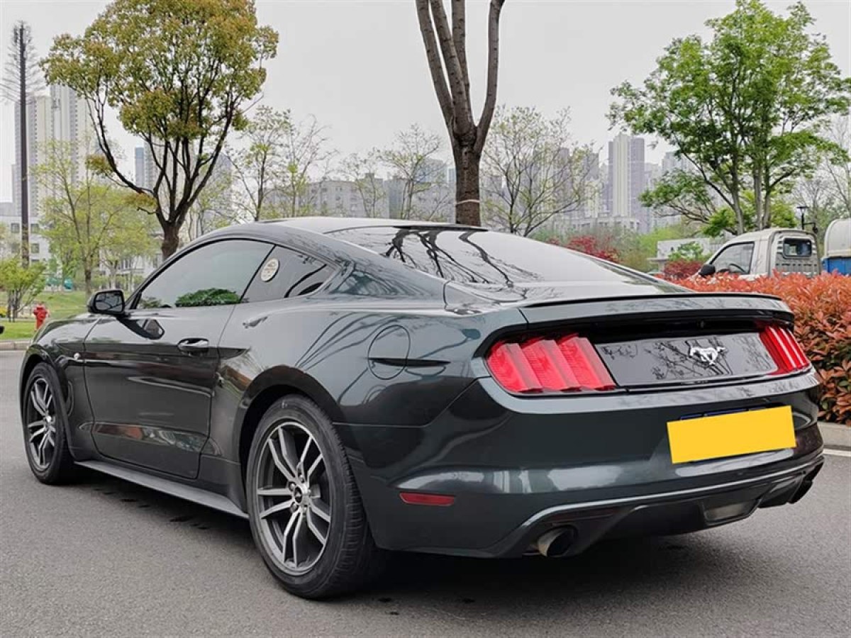 福特 Mustang  2015款 2.3T 性能版圖片