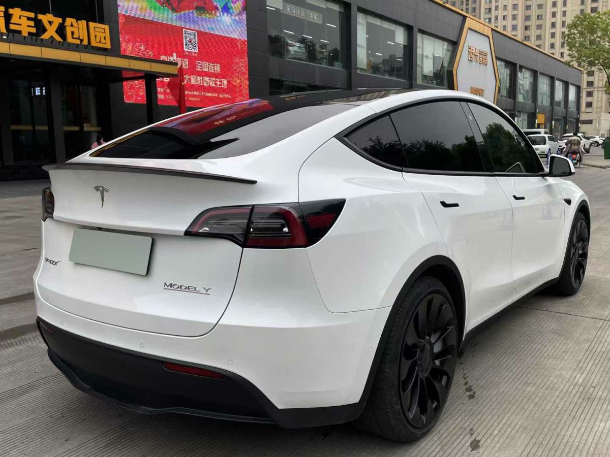 特斯拉 Model Y  2022款 Performance高性能全輪驅(qū)動(dòng)版圖片