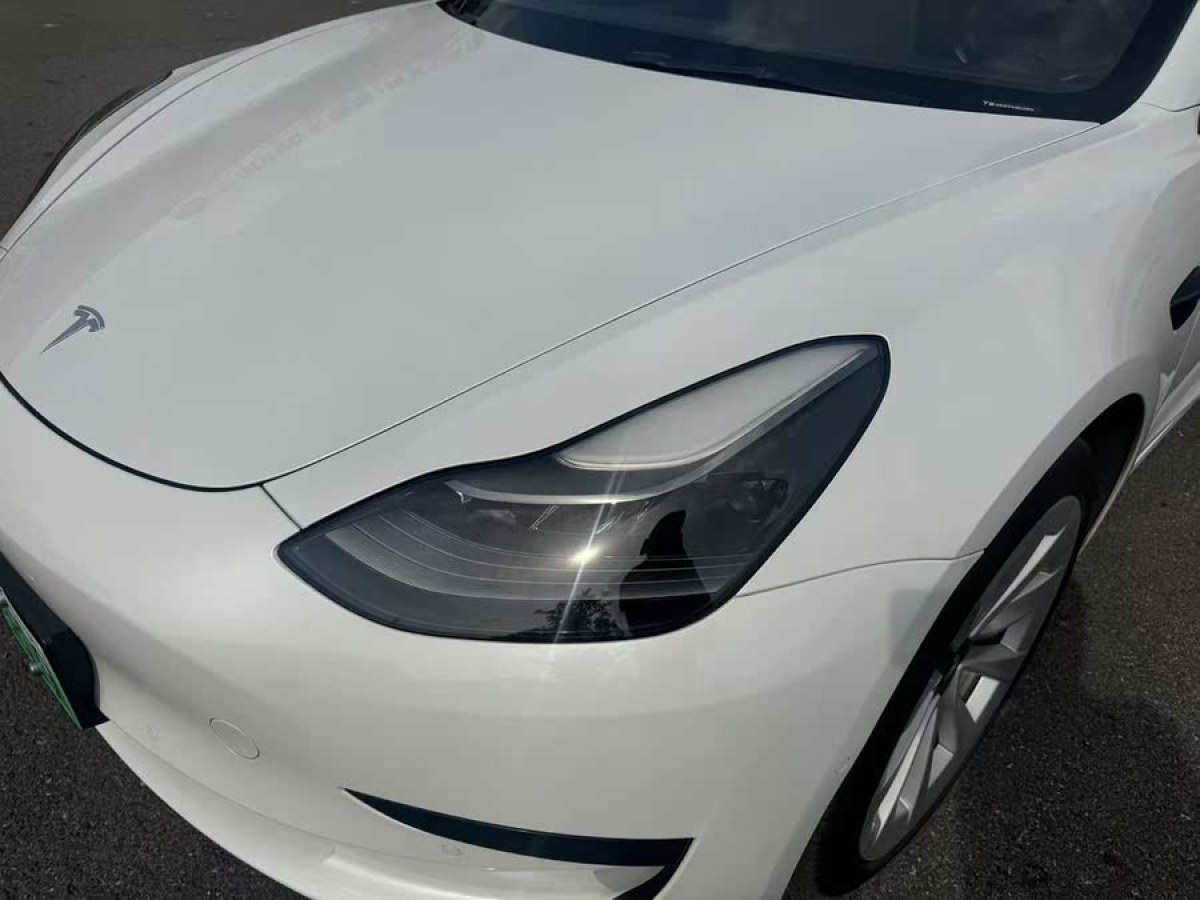 特斯拉 Model 3  2021款 改款 標(biāo)準(zhǔn)續(xù)航后驅(qū)升級版圖片