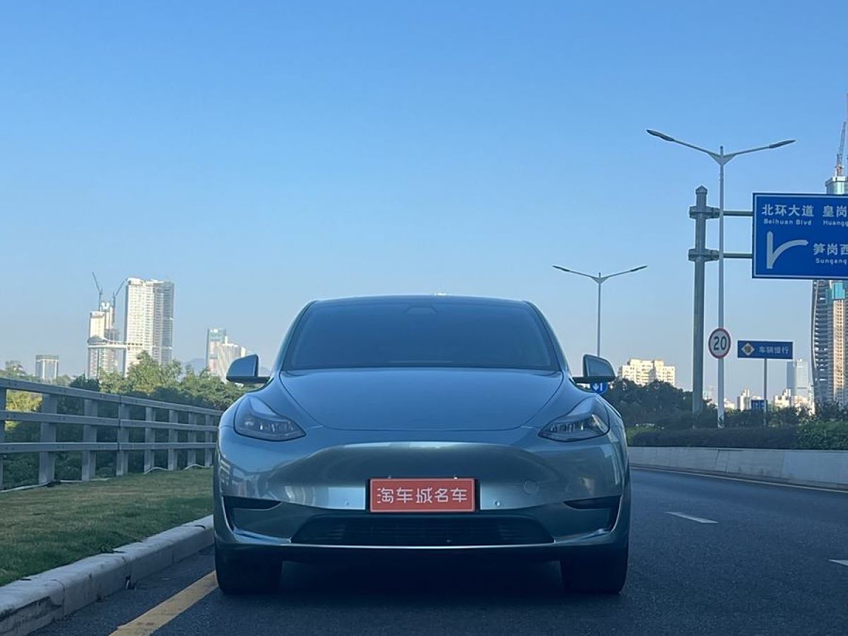 特斯拉 Model Y  2020款 改款 長續(xù)航后輪驅(qū)動(dòng)版圖片