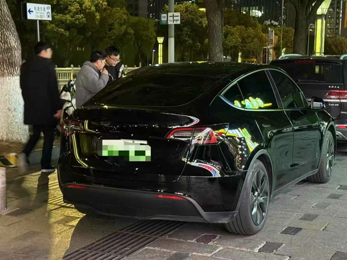 特斯拉 Model S  2023款 三電機(jī)全輪驅(qū)動(dòng) Plaid版圖片