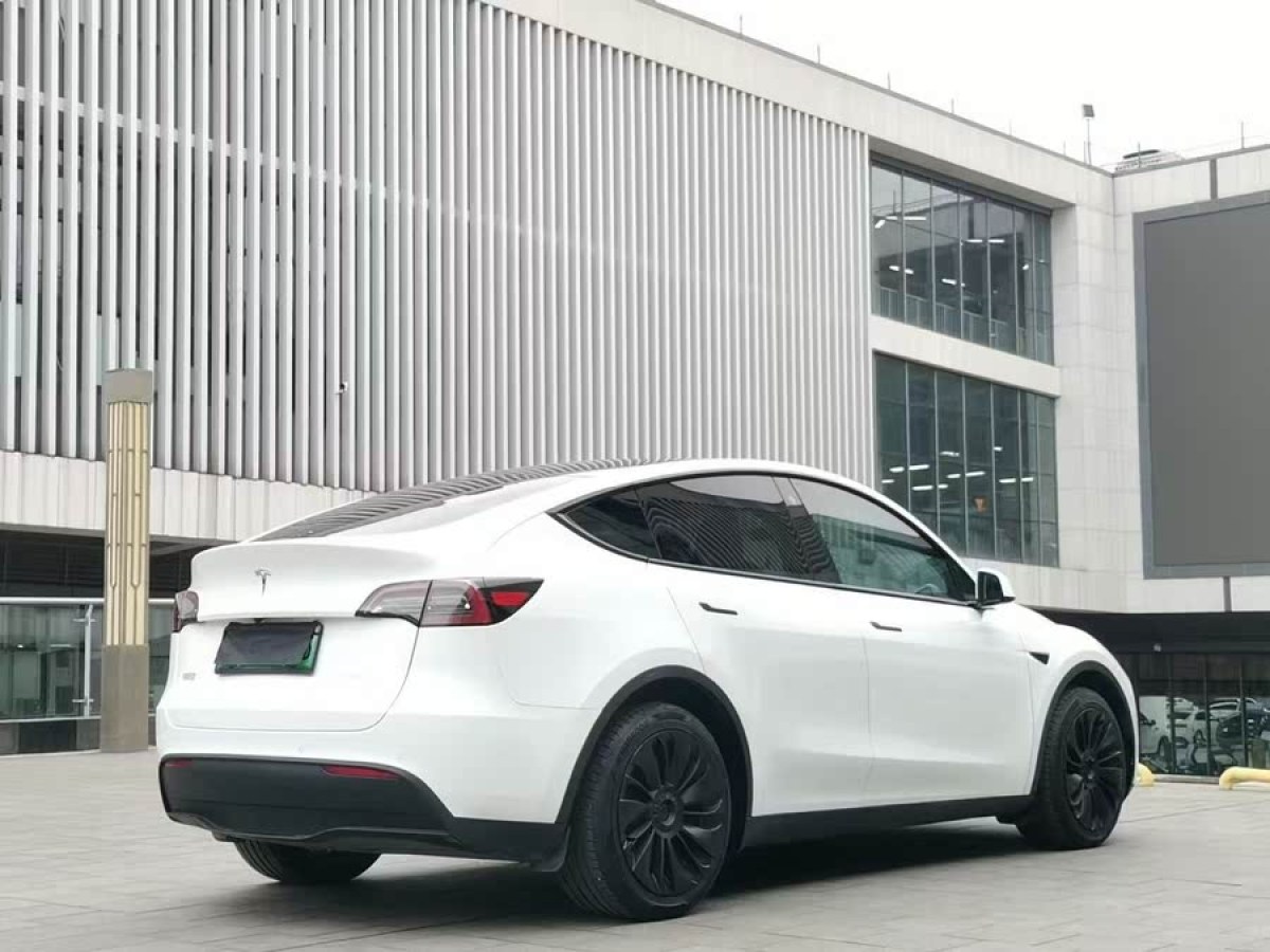 特斯拉 Model Y  2024款 后輪驅(qū)動版圖片