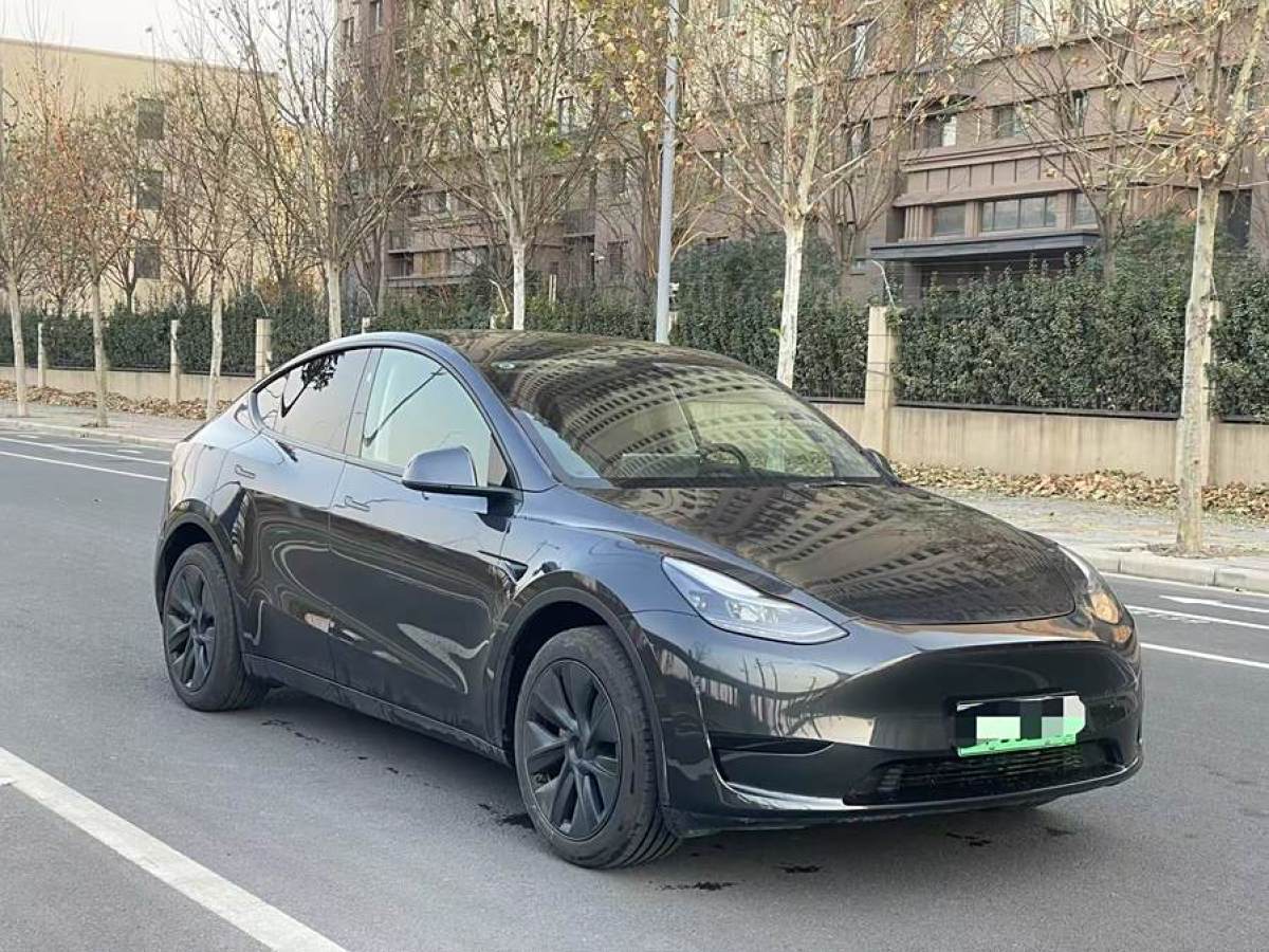 特斯拉 Model 3  2020款 改款 長(zhǎng)續(xù)航后輪驅(qū)動(dòng)版圖片