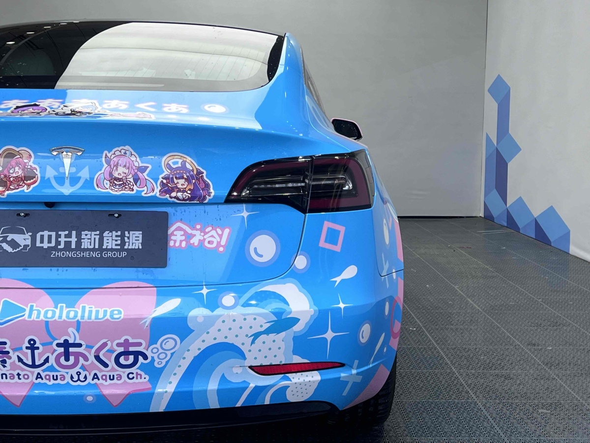 特斯拉 Model 3  2019款 標準續(xù)航后驅升級版圖片