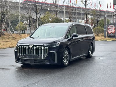 2023年11月 嵐圖 夢想家 PHEV 超長續(xù)航旗艦版圖片