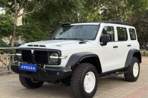 坦克300 坦克 2.0T 鐵騎02