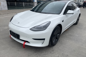 2021年9月 Model 3 特斯拉 標(biāo)準(zhǔn)續(xù)航后驅(qū)升級版 3D6