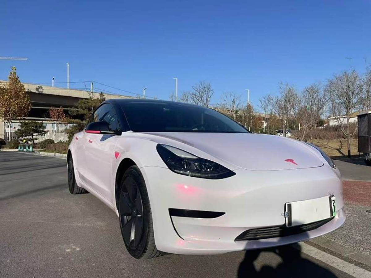 特斯拉 Model 3  2021款 標(biāo)準(zhǔn)續(xù)航后驅(qū)升級版 3D6圖片