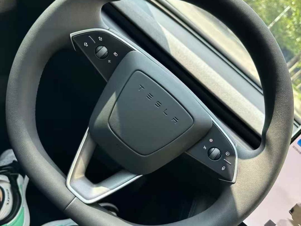 特斯拉 Model Y  2024款 Performance高性能版圖片