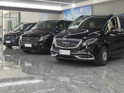 2022年1月 盛唐 盛唐V-Class 2.0T 威霆环舱图片