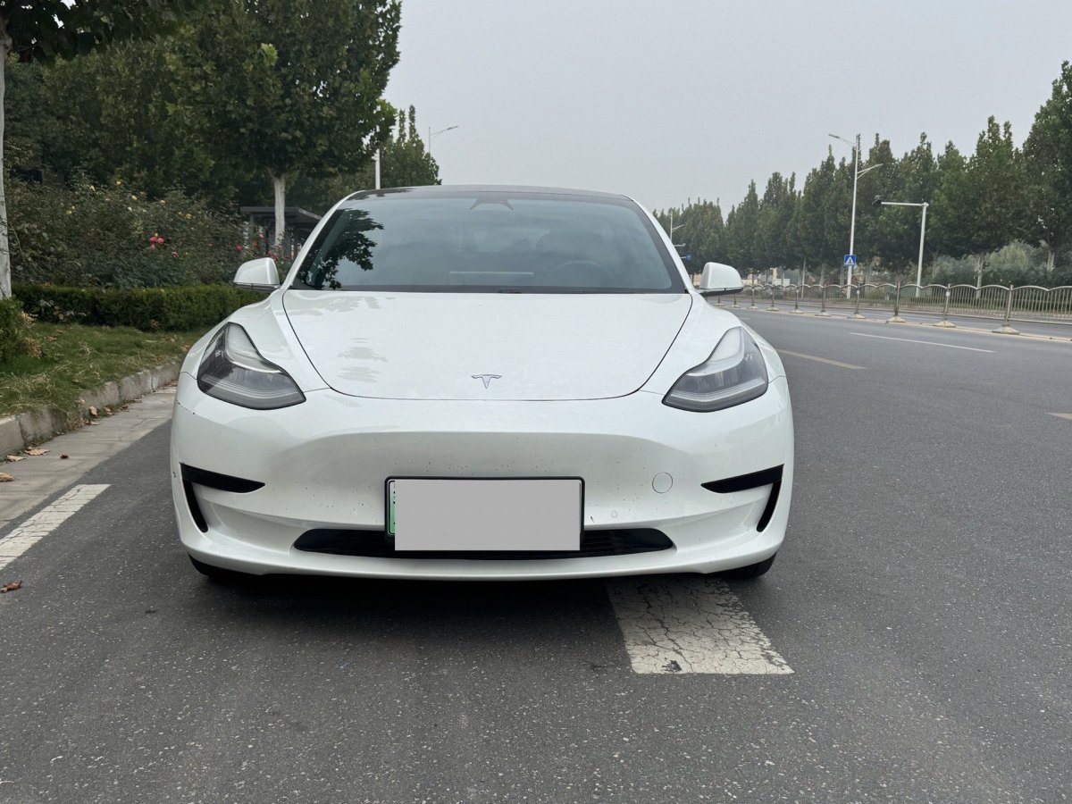 特斯拉 Model 3  2019款 標準續(xù)航后驅升級版圖片