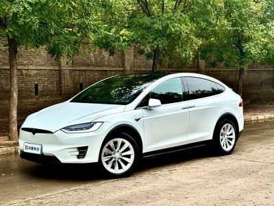 2017年7月 特斯拉 Model X Model X 90D圖片