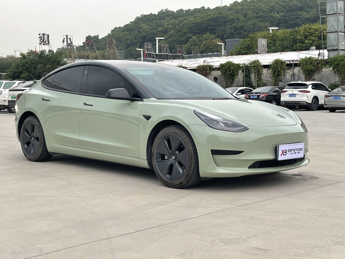 2021年10月特斯拉 Model Y  2021款 標準續(xù)航后驅升級版 3D6