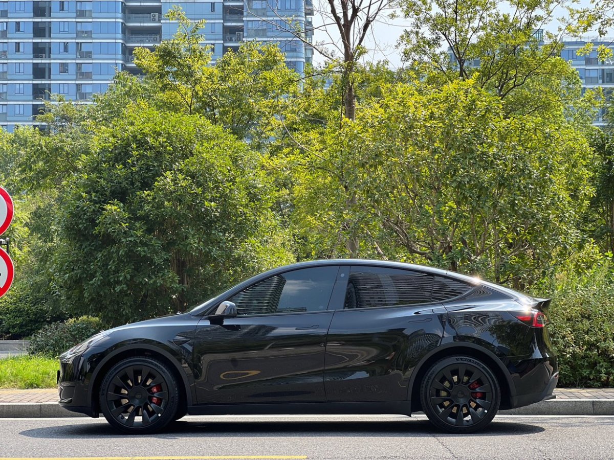 特斯拉 Model Y  2021款 改款 標(biāo)準(zhǔn)續(xù)航后驅(qū)升級版圖片