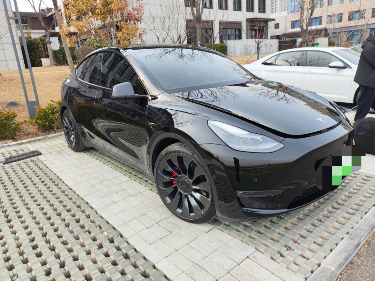 特斯拉 Model 3  2022款 Performance高性能全輪驅(qū)動版圖片