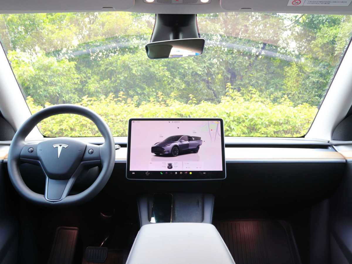 特斯拉 Model Y  2022款 后輪驅(qū)動版圖片