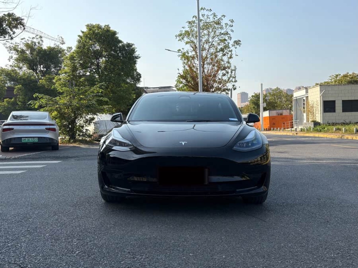 特斯拉 Model 3  2022款 后輪驅(qū)動版圖片