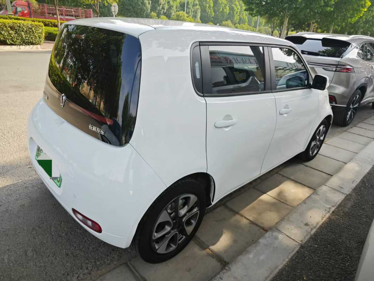 歐拉 歐拉白貓  2020款 305km 豪華型圖片