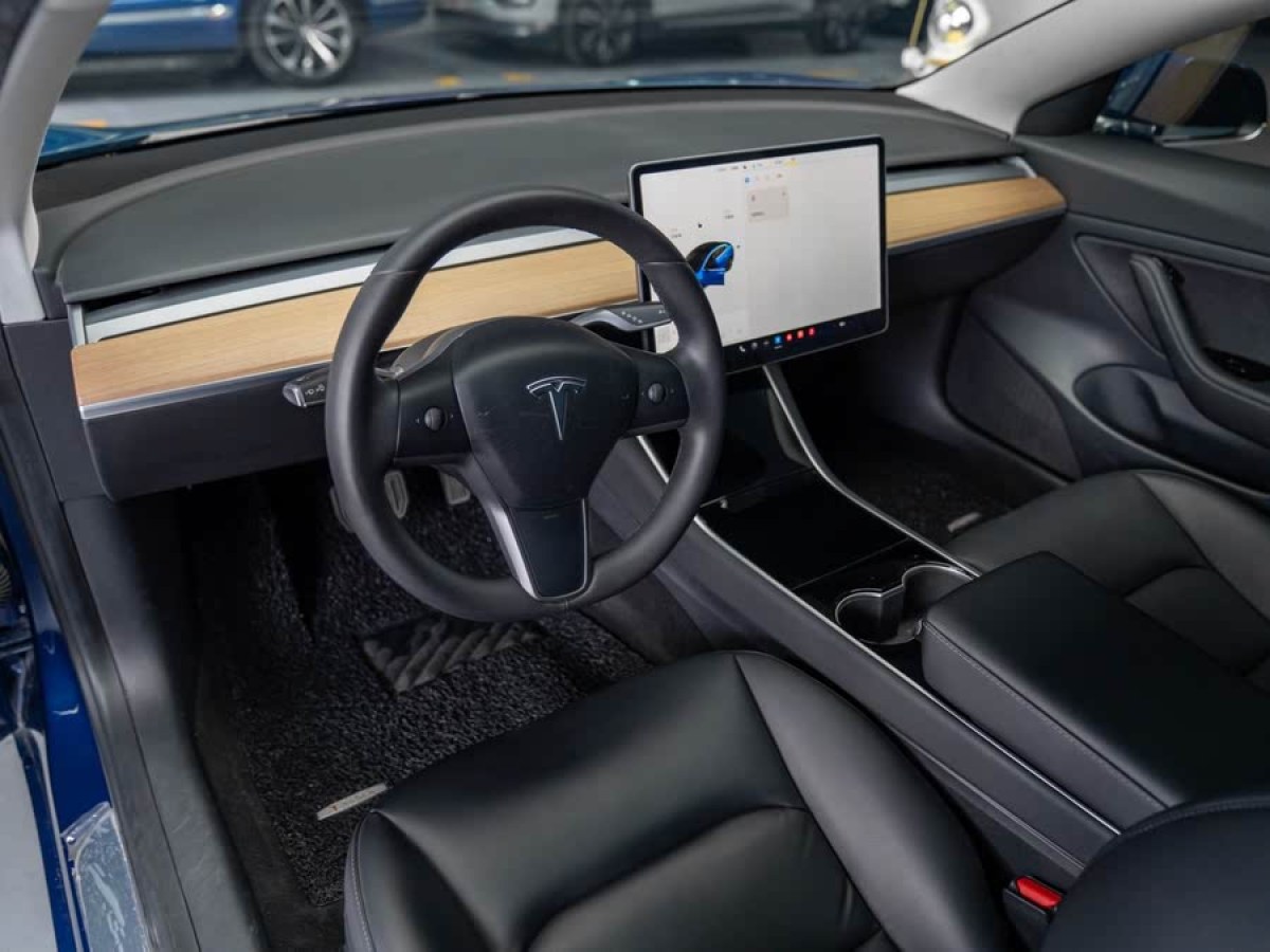 特斯拉 Model 3  2019款 標(biāo)準(zhǔn)續(xù)航后驅(qū)升級版圖片