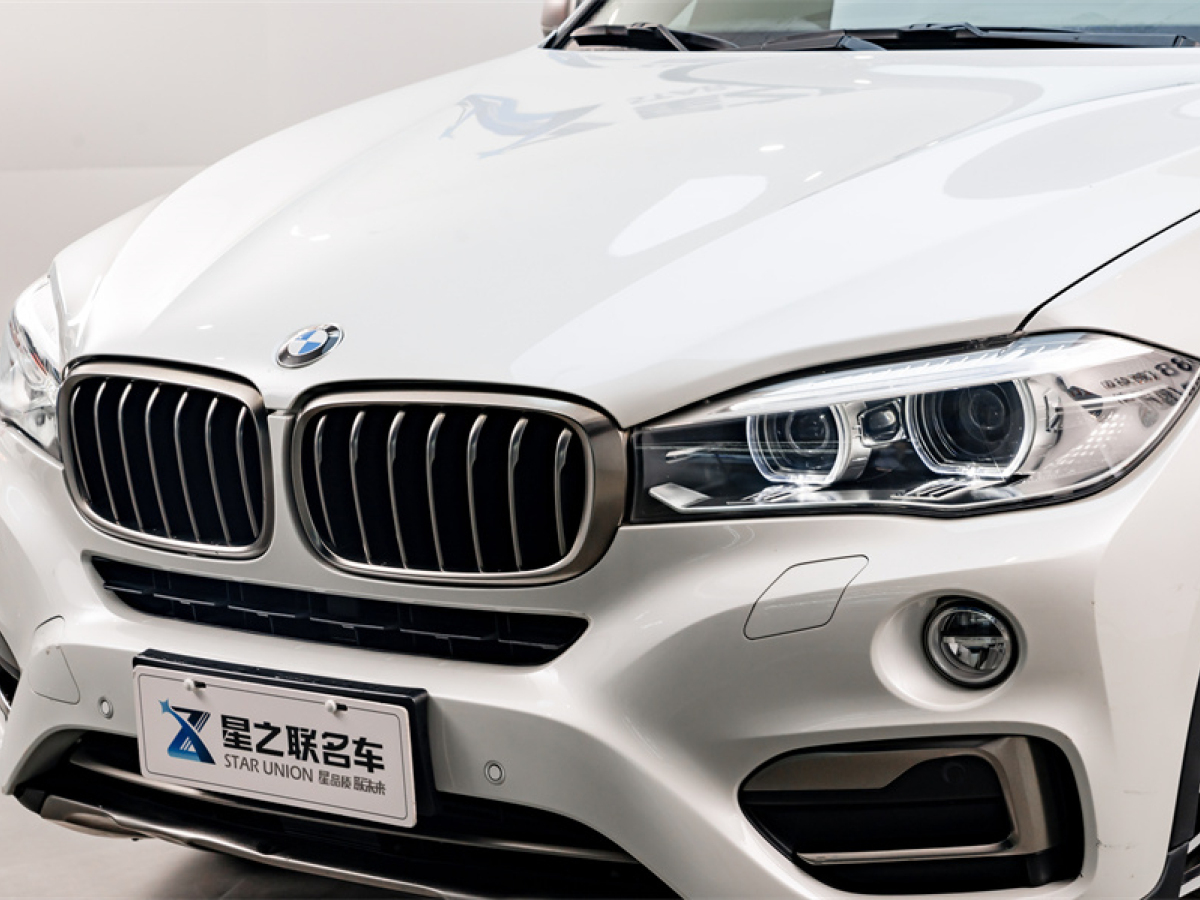 寶馬 寶馬X6  2018款 xDrive35i 領先型圖片