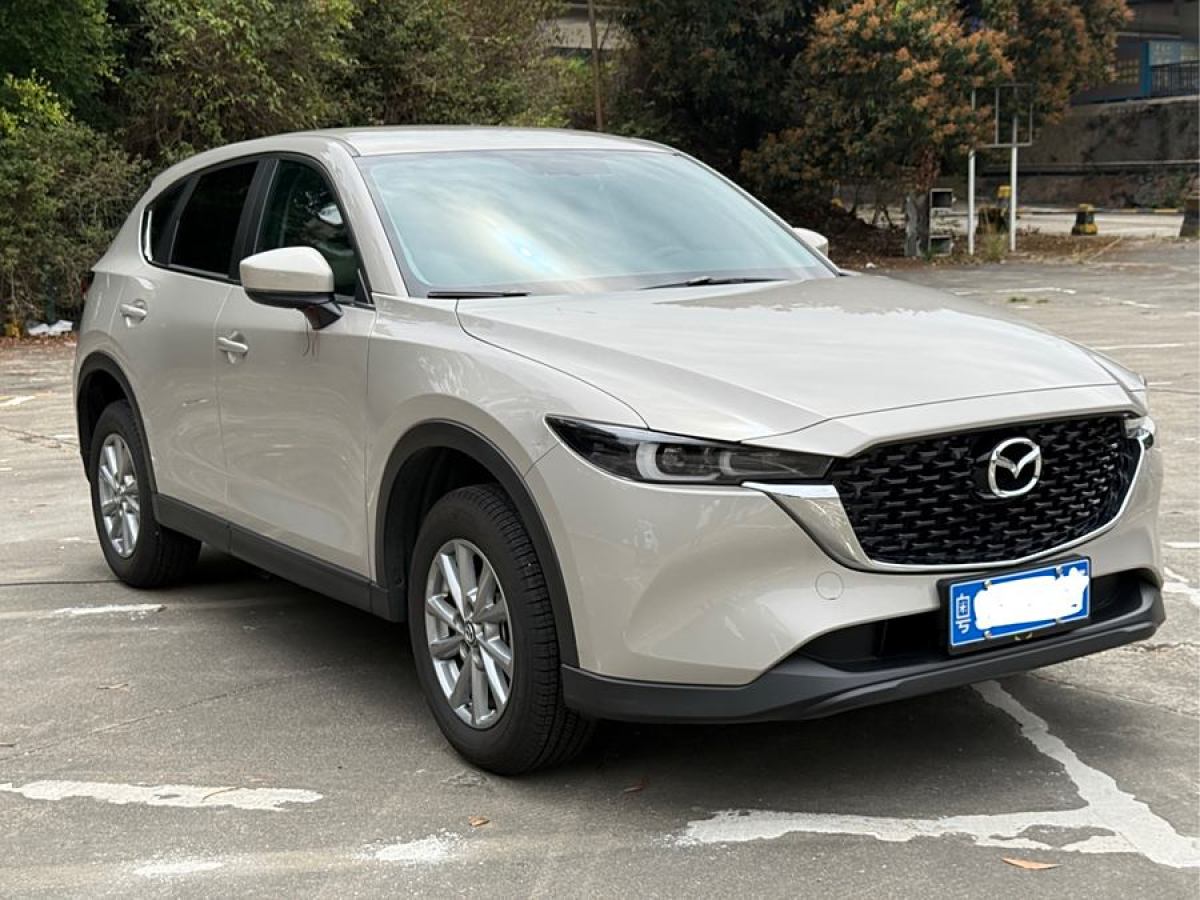 2024年4月馬自達(dá) CX-5  2024款 2.0L 自動(dòng)兩驅(qū)舒適型