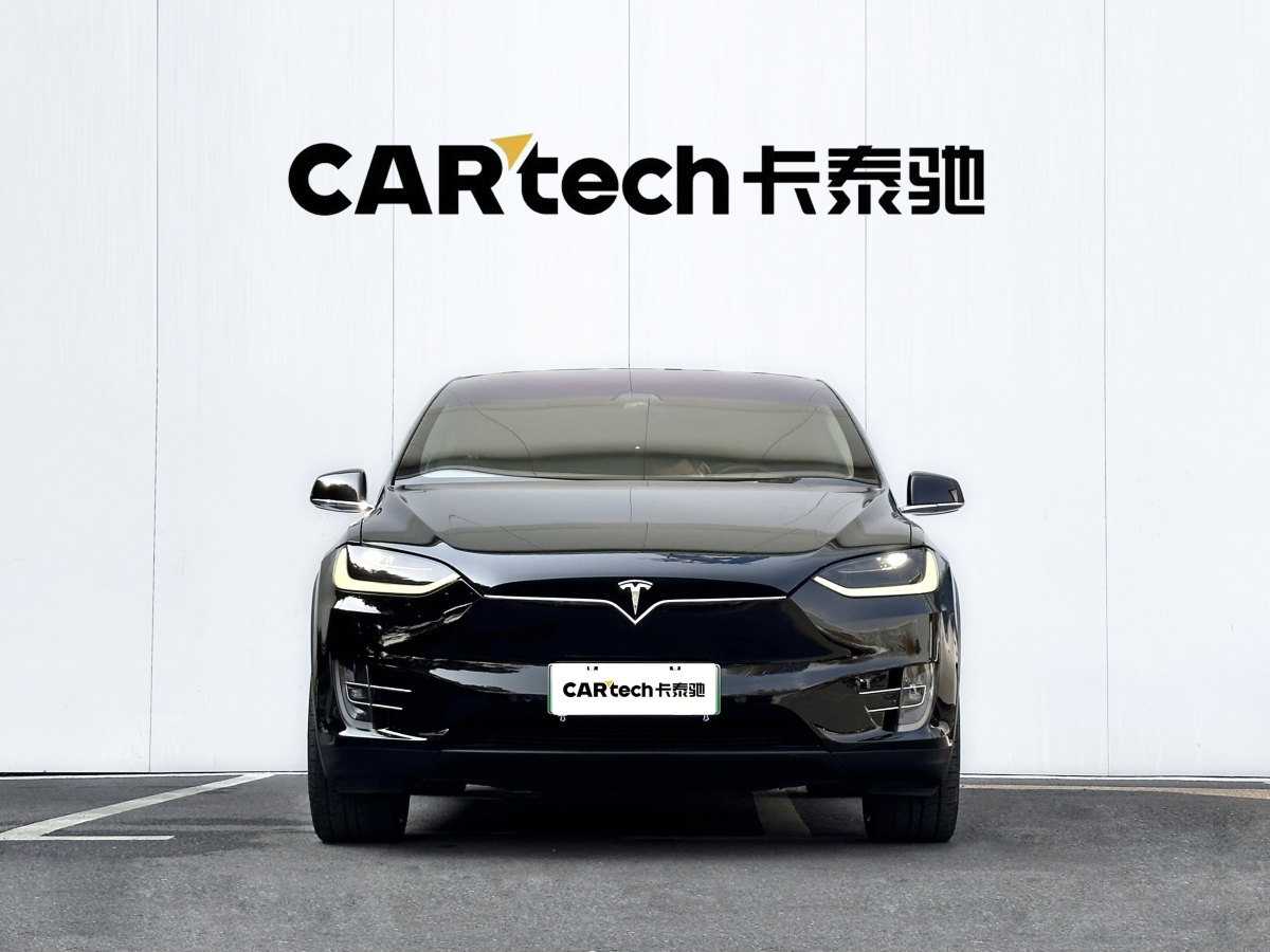 特斯拉 Model X  2019款 Performance 高性能版圖片