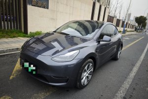 Model Y 特斯拉 后輪驅(qū)動(dòng)版