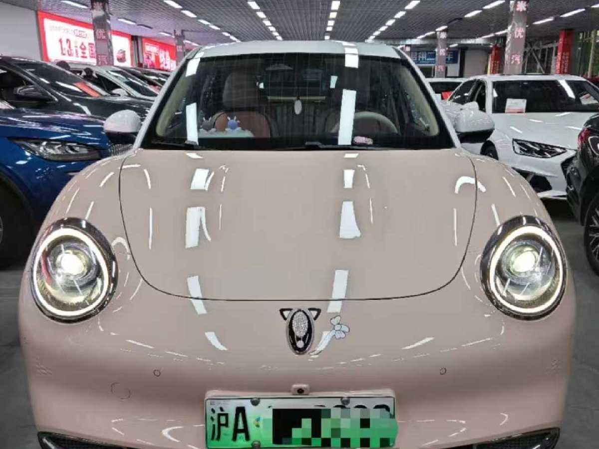 歐拉 歐拉好貓  2021款 500km長(zhǎng)續(xù)航 公務(wù)版 三元鋰圖片