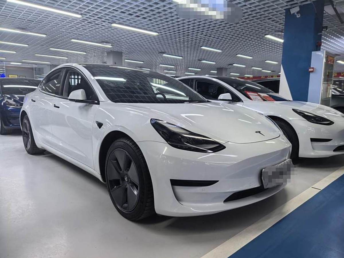 2021年6月特斯拉 Model 3  2021款 改款 標(biāo)準(zhǔn)續(xù)航后驅(qū)升級(jí)版