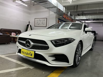 2019年1月 奔馳 奔馳CLS級(進口) CLS 300 豪華型圖片