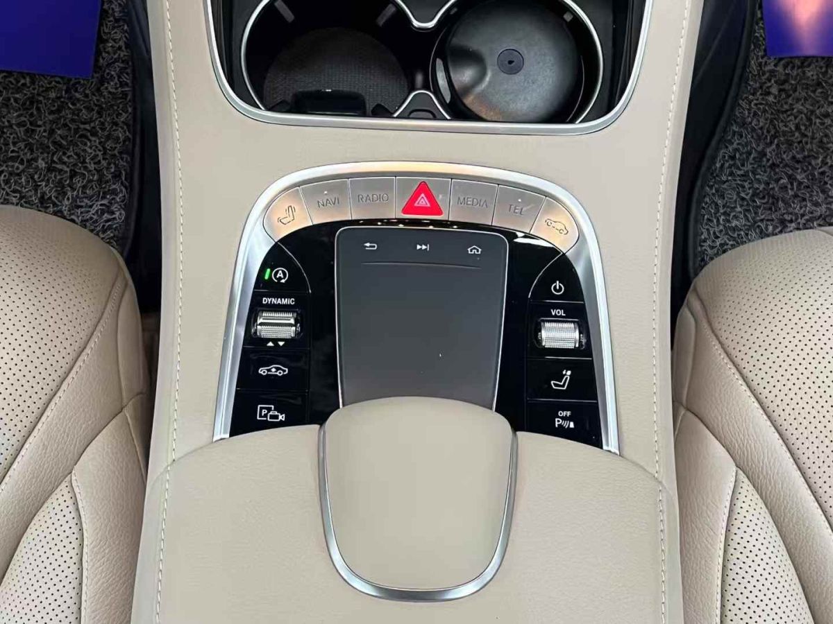 奔馳 奔馳S級(jí)  2020款 S 350 L 商務(wù)型 臻藏版圖片