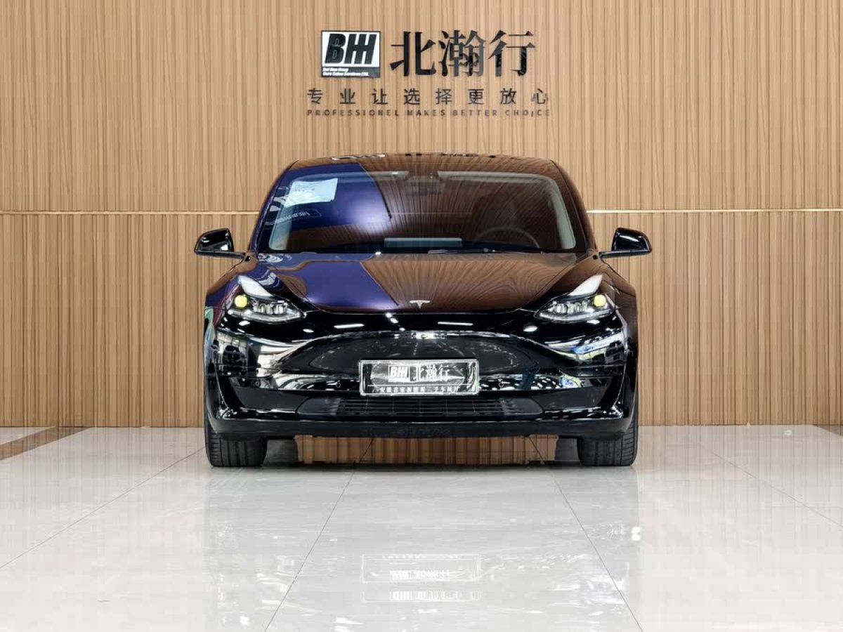 特斯拉 Model 3  2021款 標(biāo)準(zhǔn)續(xù)航后驅(qū)升級(jí)版 3D6圖片