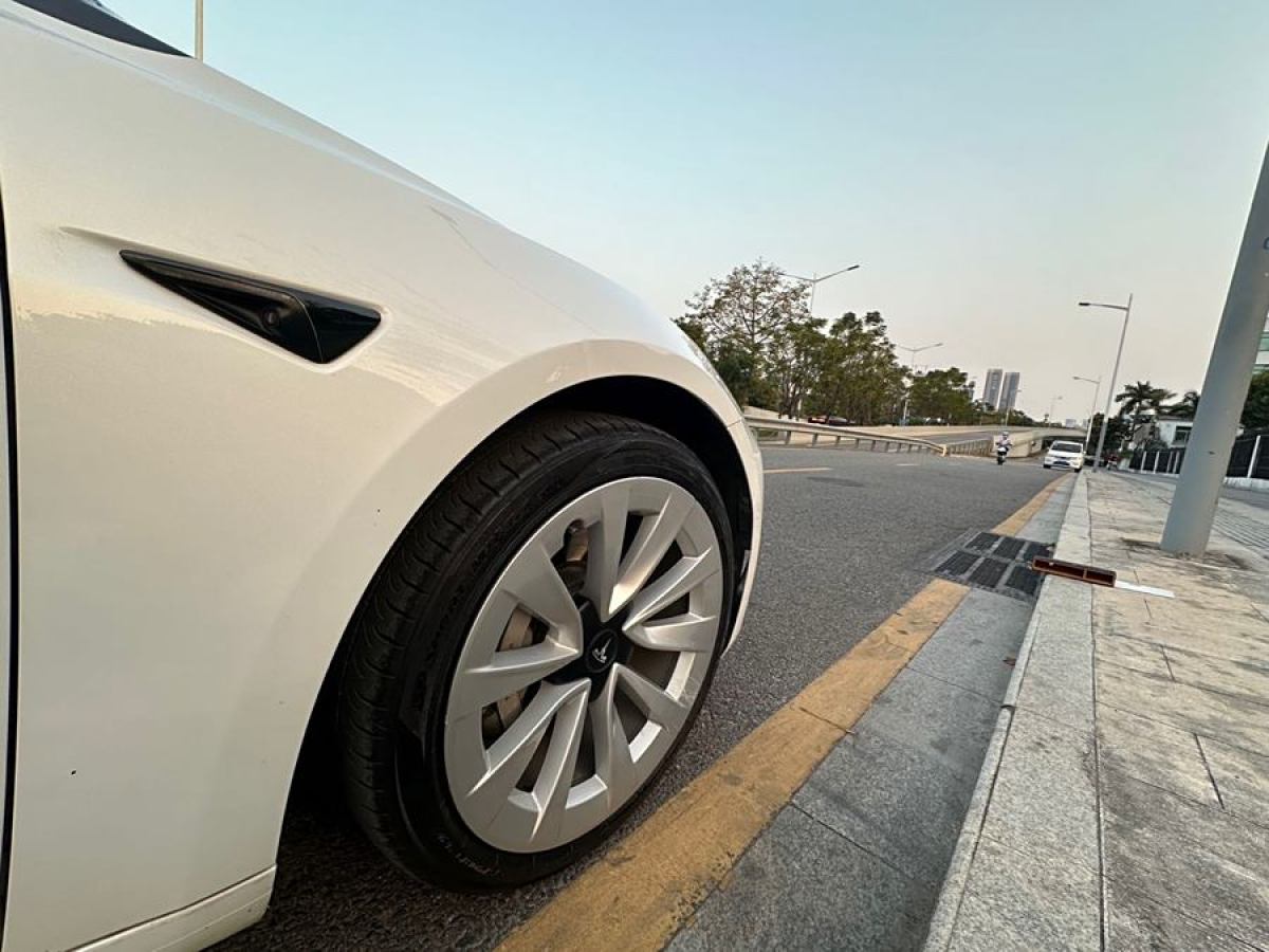 特斯拉 Model 3  2019款 長續(xù)航全輪驅動版圖片