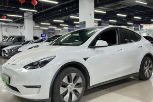 Model Y 特斯拉 改款 長續(xù)航全輪驅動版