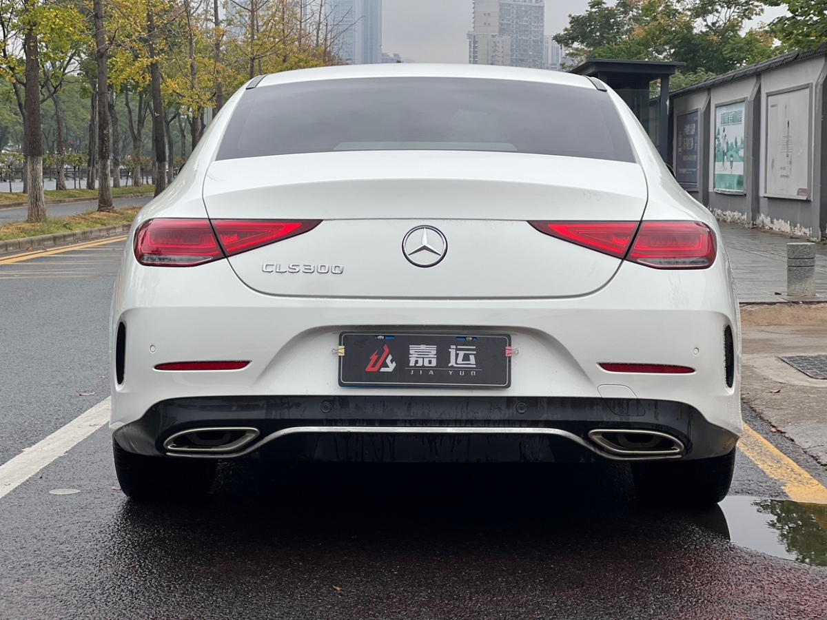 奔馳 奔馳CLS級  2020款 CLS 300 豪華型圖片