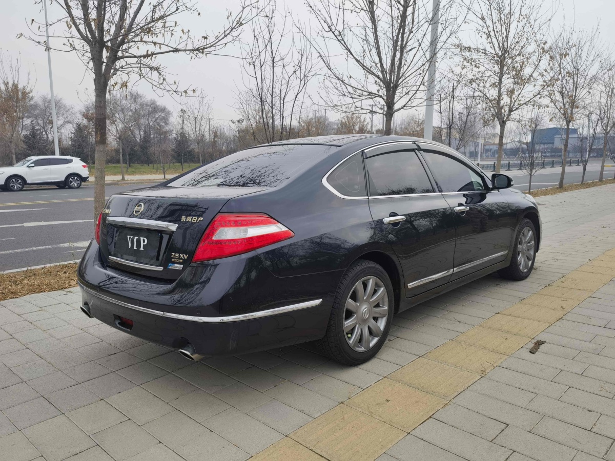 日產(chǎn) 天籟  2009款 公爵 2.5L XV VIP尊享版圖片