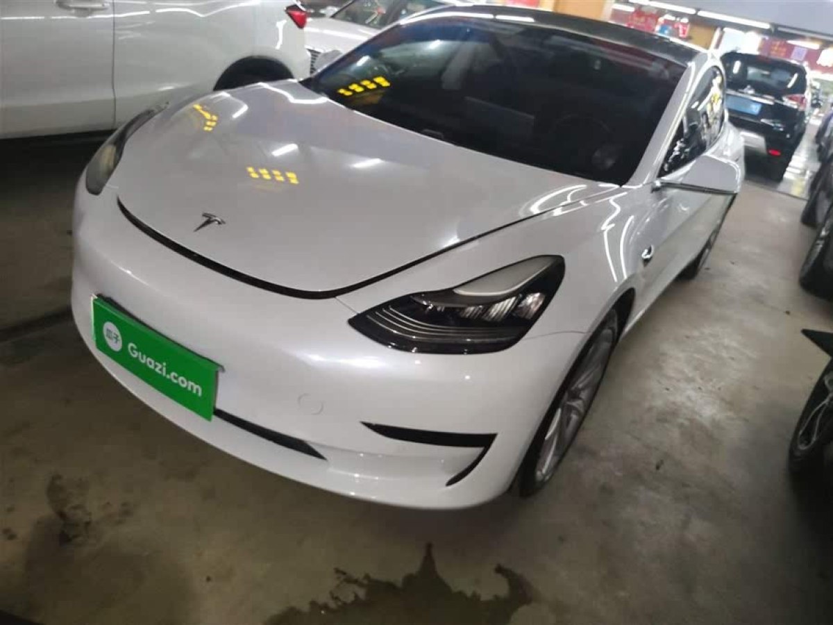 特斯拉 Model 3  2019款 標(biāo)準(zhǔn)續(xù)航后驅(qū)升級(jí)版圖片
