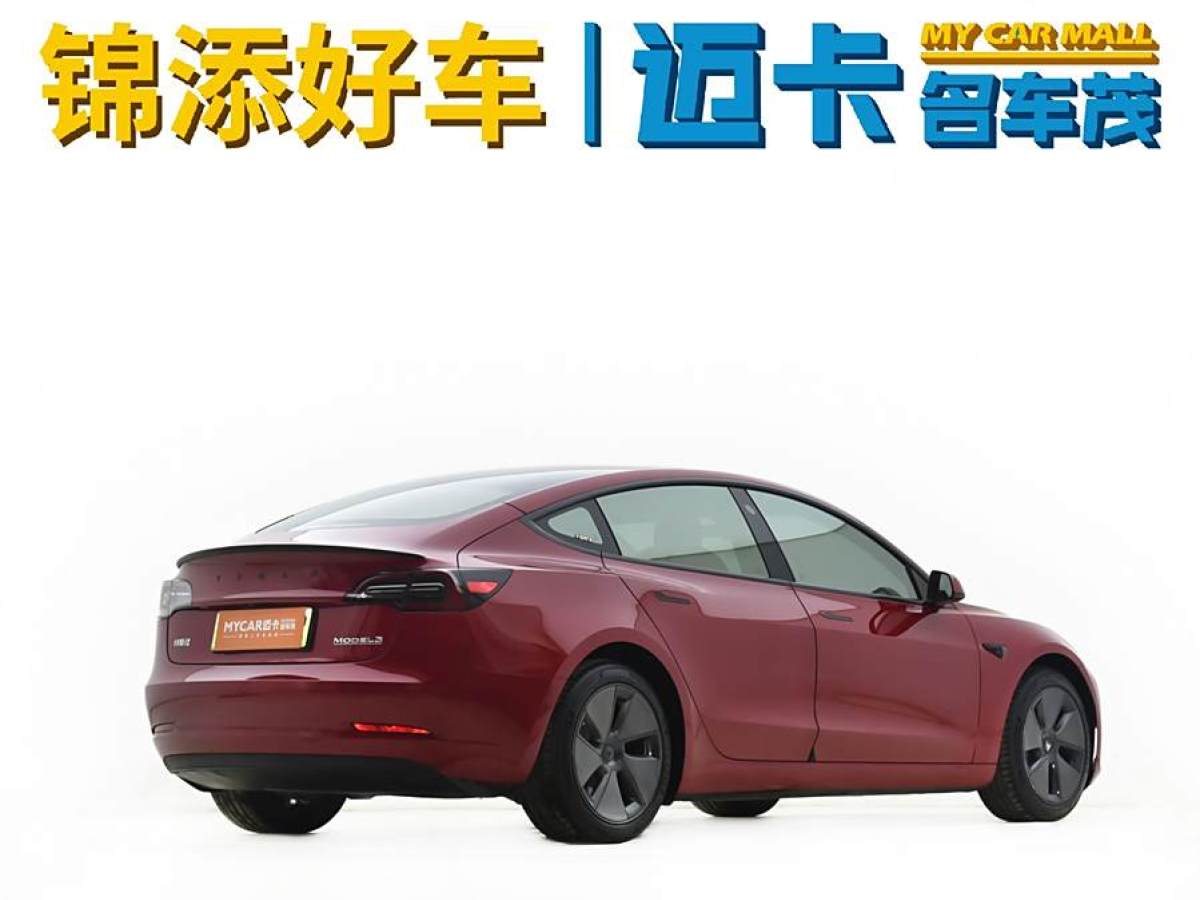 特斯拉 Model 3  2019款 標(biāo)準(zhǔn)續(xù)航后驅(qū)升級(jí)版圖片