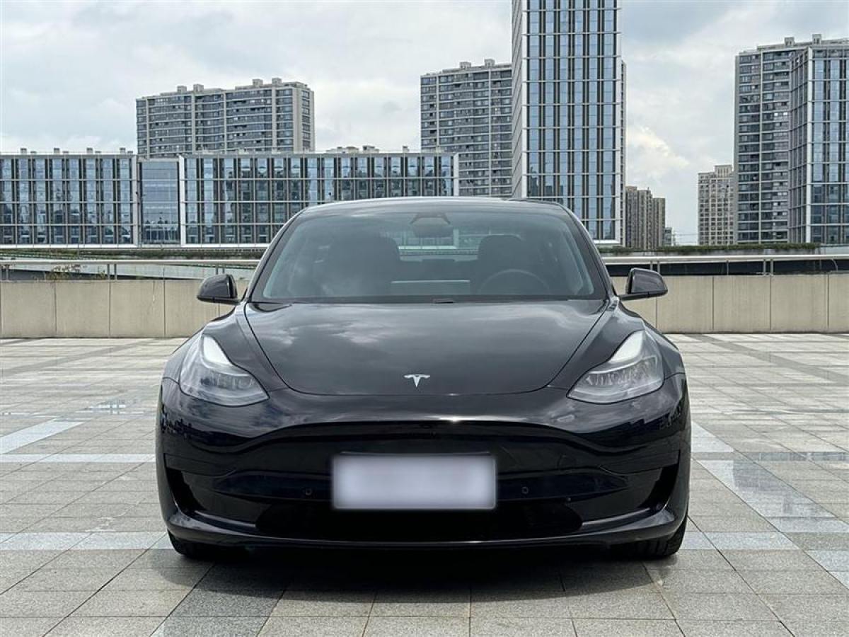 2021年1月特斯拉 Model 3  2021款 改款 標(biāo)準(zhǔn)續(xù)航后驅(qū)升級版