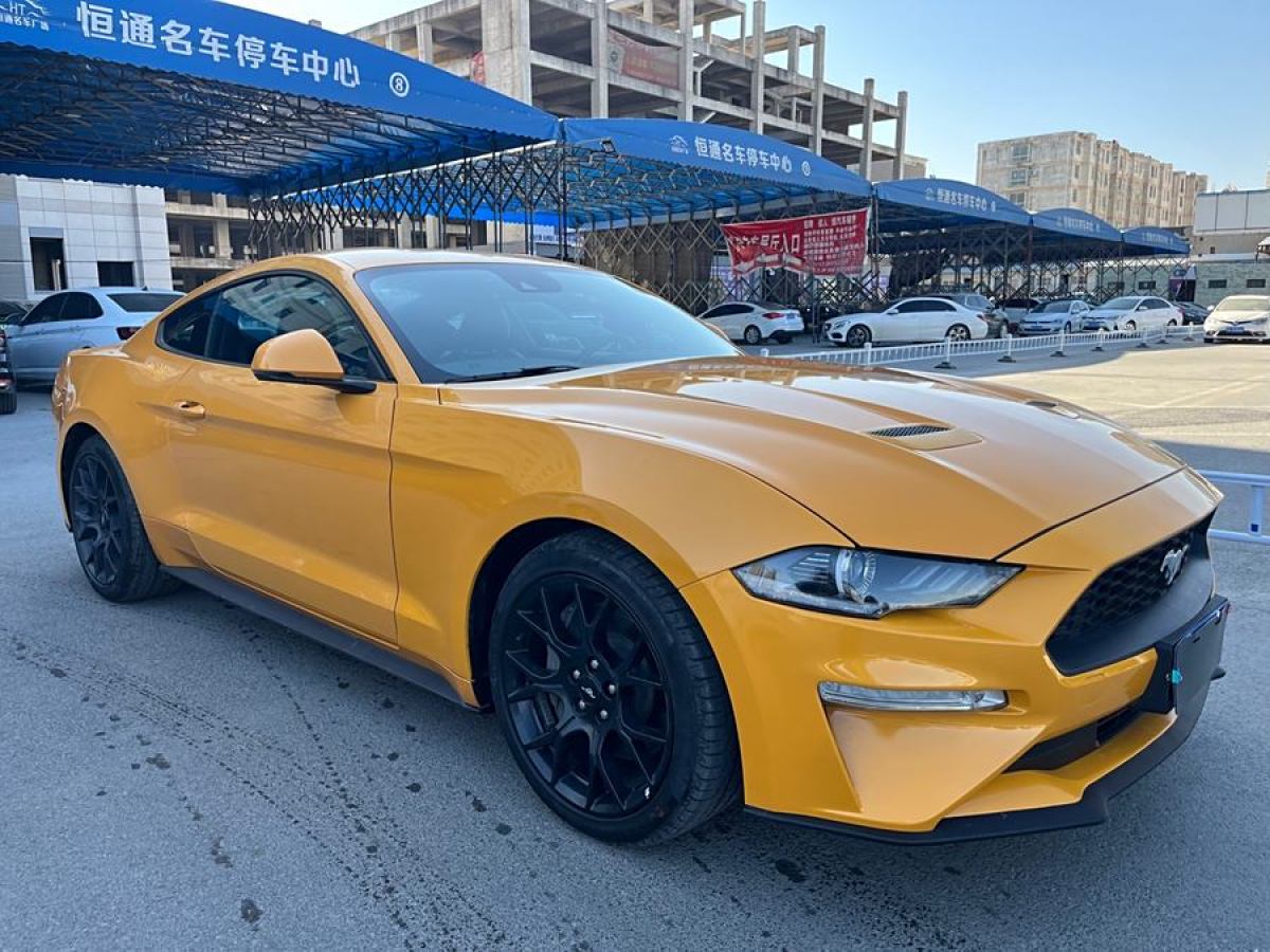 福特 Mustang  2021款 2.3L EcoBoost圖片