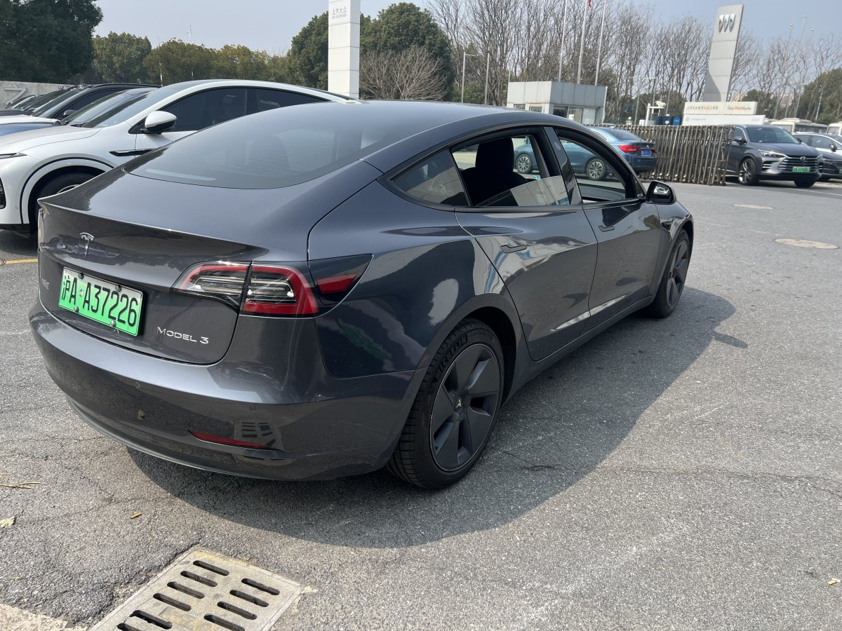 特斯拉 Model 3  2019款 標準續(xù)航后驅升級版圖片