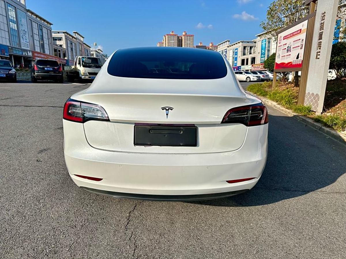 特斯拉 Model 3  2019款 長續(xù)航后驅版圖片