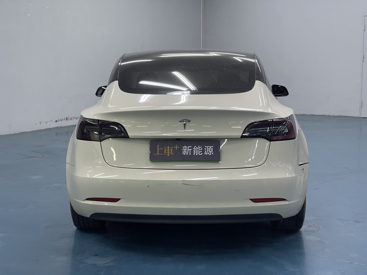 特斯拉 Model 3  2019款 標(biāo)準(zhǔn)續(xù)航后驅(qū)升級(jí)版圖片