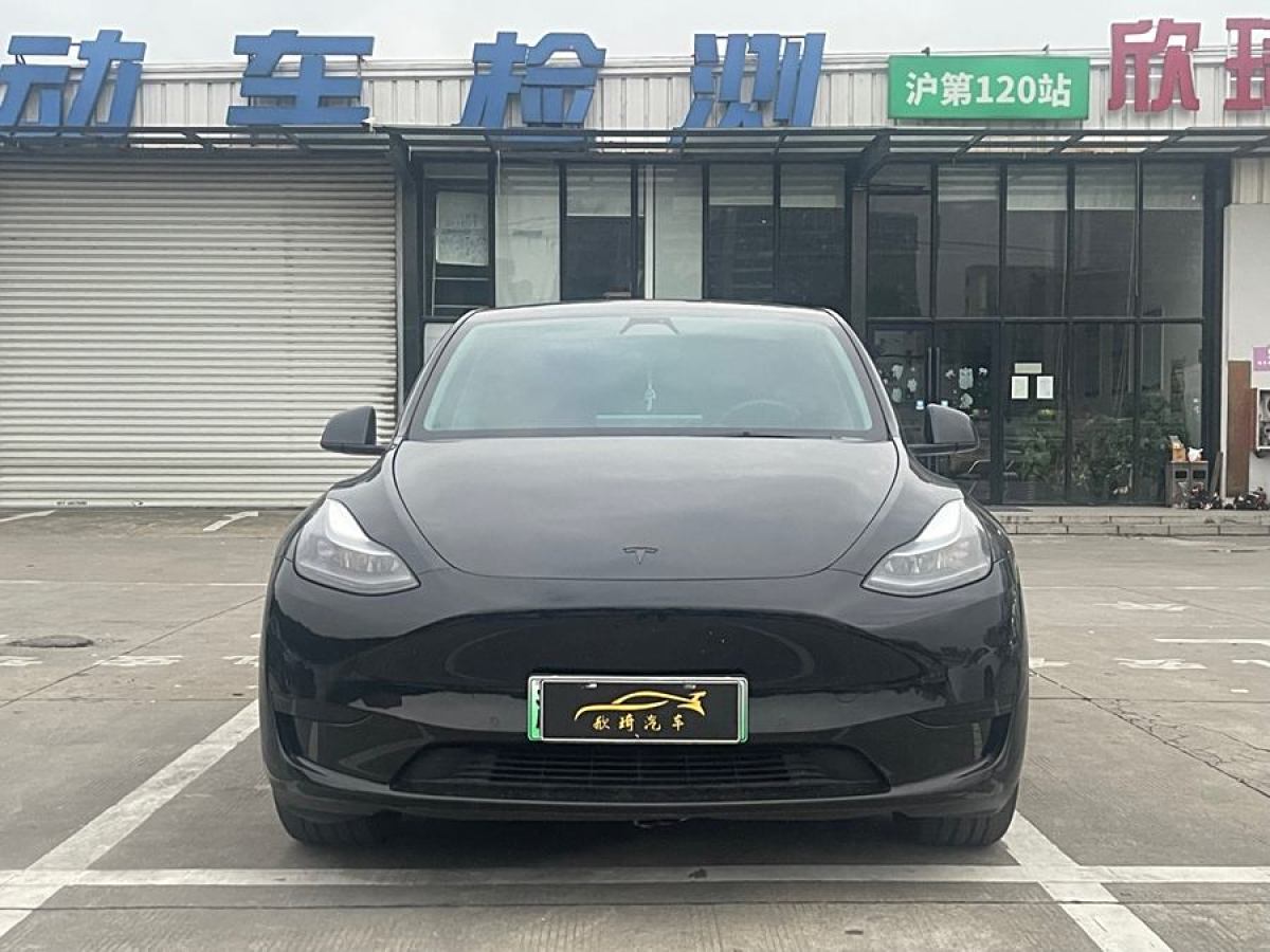 特斯拉 Model Y  2020款 改款 長(zhǎng)續(xù)航后輪驅(qū)動(dòng)版圖片