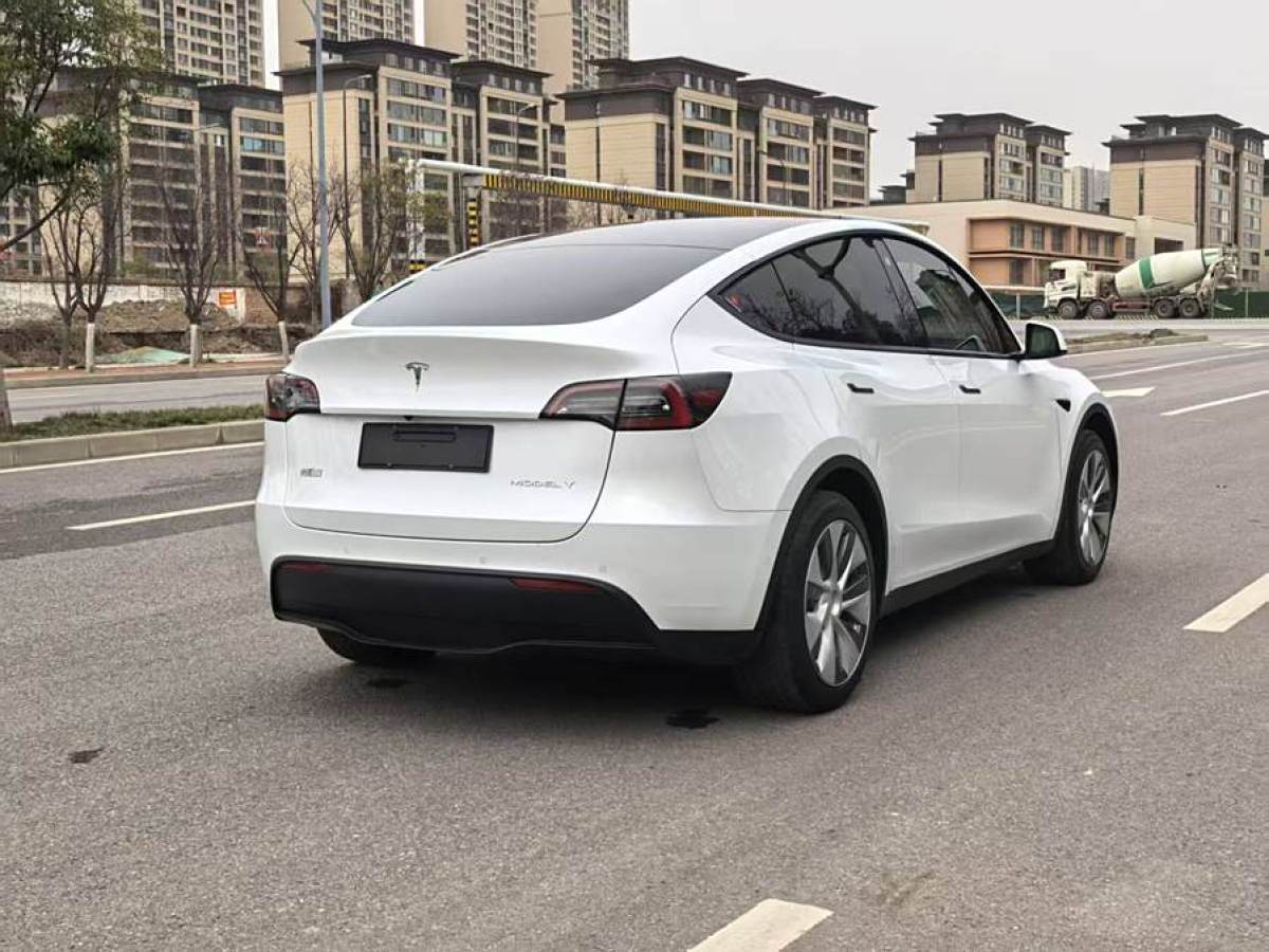 特斯拉 Model 3  2020款 改款 長續(xù)航后輪驅(qū)動(dòng)版圖片