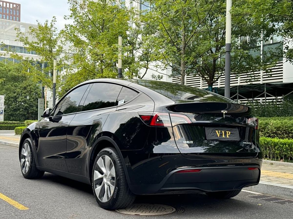 特斯拉 Model Y  2020款 改款 長續(xù)航后輪驅(qū)動版圖片