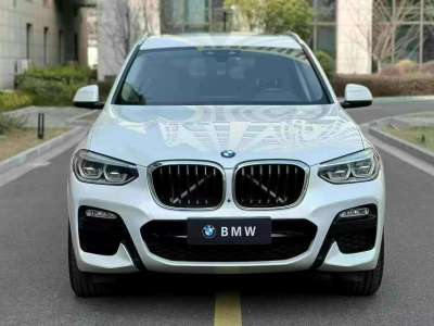 2019年04月 寶馬 寶馬X3 xDrive30i 領(lǐng)先型 M運動套裝 國V圖片