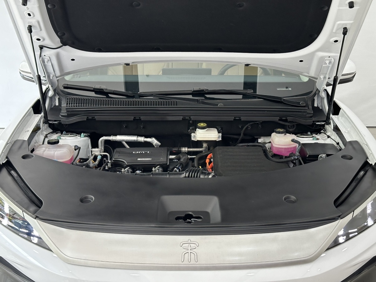 比亞迪 宋Pro新能源  2025款 DM-i 115KM超越型圖片